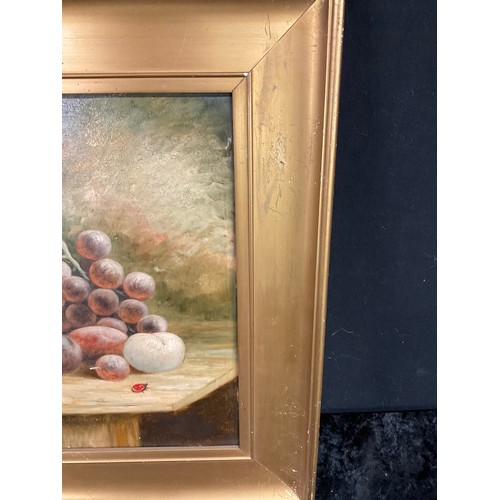 218 - STILL LIFE OIL PAINTING OF FRUIT ON TABLE AND SMALL BUTTERFLY IN GOLD WOODDN FRAME A/F 19” X 17”