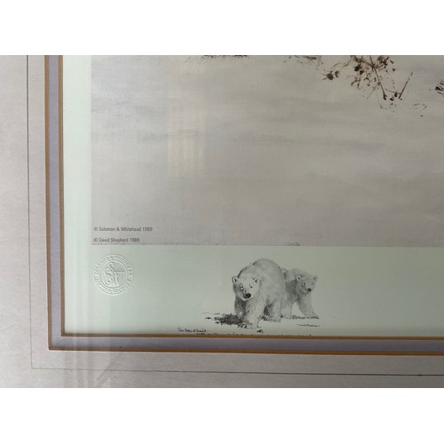 400 - SEVEN VARIOUS MODERN FRAMED LIMITED EDITION PICTURES OF ANIMALS BY DAVID SHEPHERD