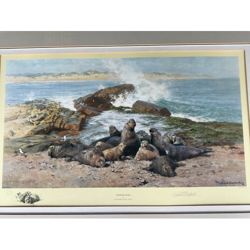 400 - SEVEN VARIOUS MODERN FRAMED LIMITED EDITION PICTURES OF ANIMALS BY DAVID SHEPHERD