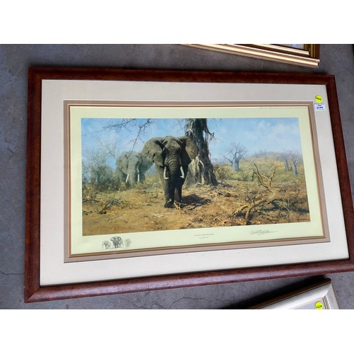 400 - SEVEN VARIOUS MODERN FRAMED LIMITED EDITION PICTURES OF ANIMALS BY DAVID SHEPHERD