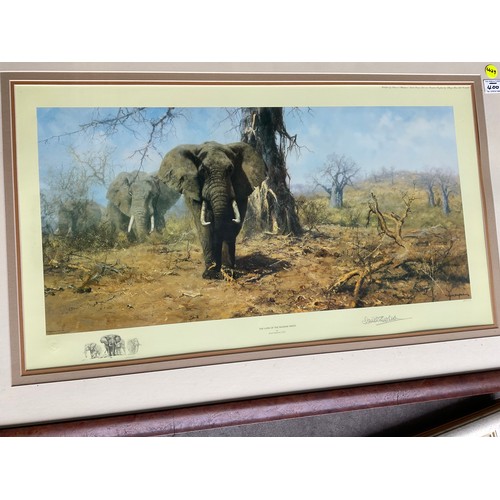 400 - SEVEN VARIOUS MODERN FRAMED LIMITED EDITION PICTURES OF ANIMALS BY DAVID SHEPHERD