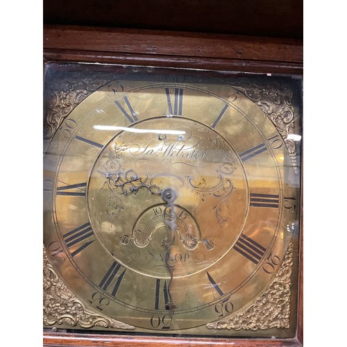 355 - OAK CASED BRASS FACED 30 HOUR GRANDFATHER CLOCK BY  JAMES WEBSTER OF SALOP 11