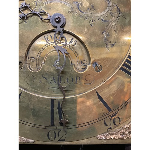 355 - OAK CASED BRASS FACED 30 HOUR GRANDFATHER CLOCK BY  JAMES WEBSTER OF SALOP 11