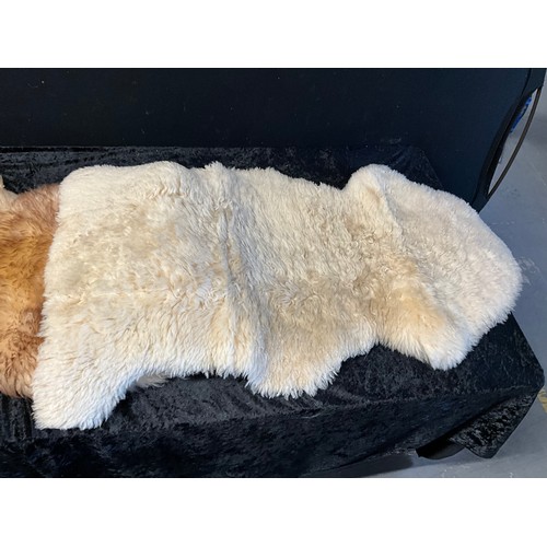 56 - TWO GENUINE SHEEP SKIN RUGS APPROX 42