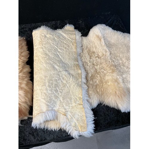 56 - TWO GENUINE SHEEP SKIN RUGS APPROX 42