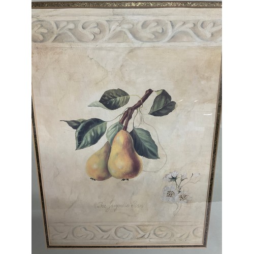 162 - PAIR OF PRINTS DEPICTING FRUIT 16