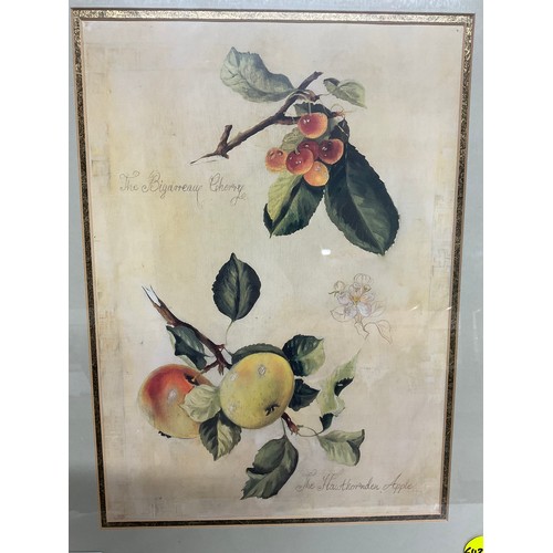 162 - PAIR OF PRINTS DEPICTING FRUIT 16