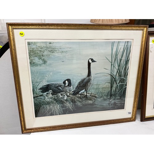 193 - TWO WILDLIFE ANIMAL PRINTS INCLUDING PRINT OF CANADIAN GEESE AT SUNRISE 188/200 SIGNED LISSA CALVERT... 