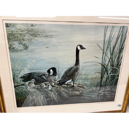 193 - TWO WILDLIFE ANIMAL PRINTS INCLUDING PRINT OF CANADIAN GEESE AT SUNRISE 188/200 SIGNED LISSA CALVERT... 