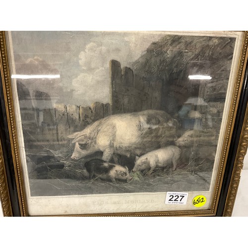 227 - ANTIQUE ETCHING ENTITLED PIGS BY MOORLAND IN WOODEN GILT FRAME 15