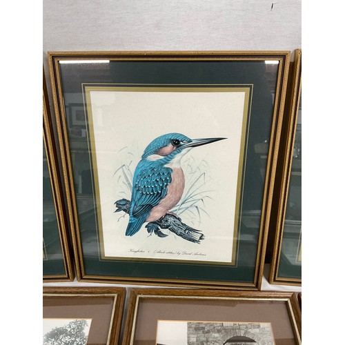 233 - ASSORTMENT OF VARIOUS SMALL PRINTS ETC TO INCLUDE BIRDS COUNTRY SCENE ETC INCLUDES BRASS FRAMED INK ... 