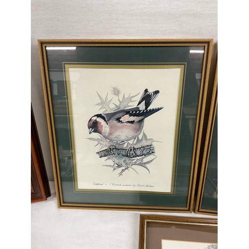 233 - ASSORTMENT OF VARIOUS SMALL PRINTS ETC TO INCLUDE BIRDS COUNTRY SCENE ETC INCLUDES BRASS FRAMED INK ... 