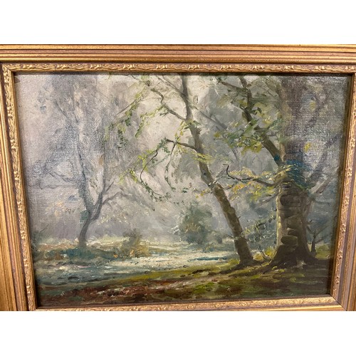 271 - TWO MODERN FRAMED OIL PAINTINGS DEPICTING WOODLAND SCENES