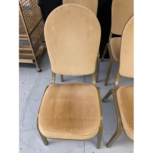 419 - TWELVE GOLD COLOURED STACKABLE THEATRE/FUNCTION CHAIRS