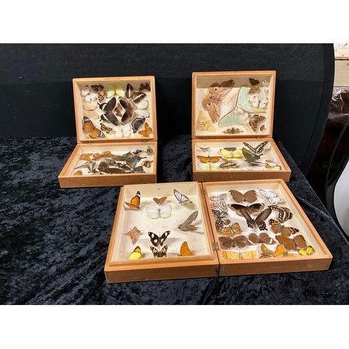 122 - THREE BOXES OF MOUNTED BUTTERFLIES