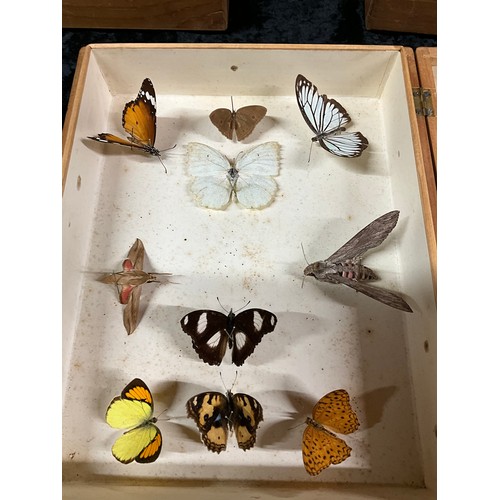 122 - THREE BOXES OF MOUNTED BUTTERFLIES