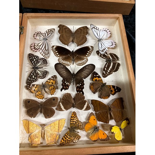 122 - THREE BOXES OF MOUNTED BUTTERFLIES