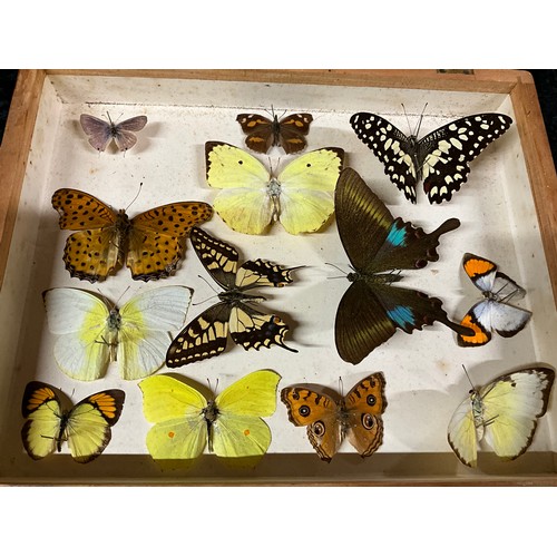 122 - THREE BOXES OF MOUNTED BUTTERFLIES