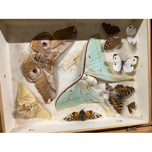 122 - THREE BOXES OF MOUNTED BUTTERFLIES