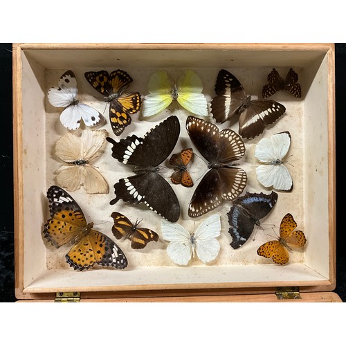 122 - THREE BOXES OF MOUNTED BUTTERFLIES