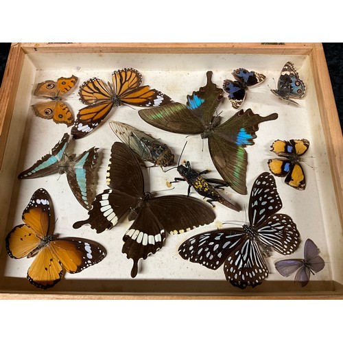 122 - THREE BOXES OF MOUNTED BUTTERFLIES