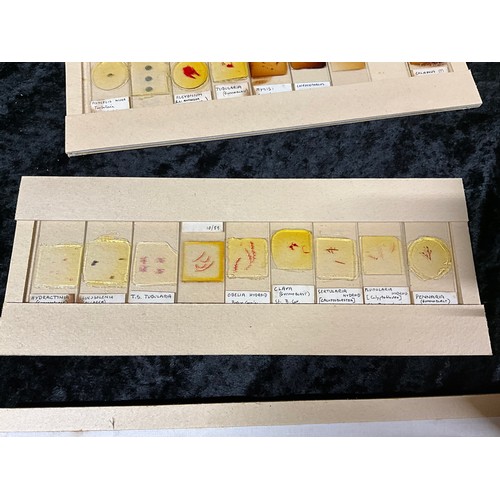 132 - TWO BOXES OF VINTAGE MICROSCOPE SLIDES