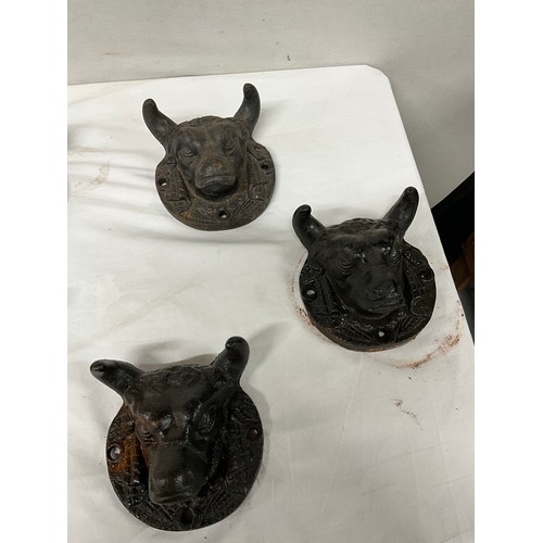 289 - QUANTITY OF CAST IRON BULL PLAQUES