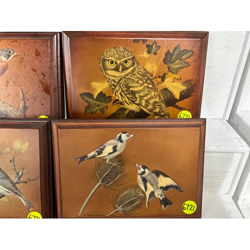 119 - SET OF 8 MAHOGANY BACKED BIRD PICTURES  
10