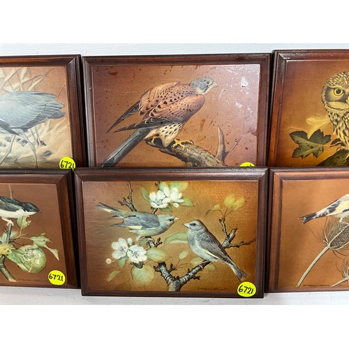 119 - SET OF 8 MAHOGANY BACKED BIRD PICTURES  
10