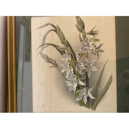 276 - SET OF 7 GILT FRAMED FLORAL PRINTS 17