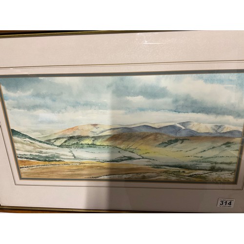 314 - 2 MODERN FRAMED WATERCOLOUR PICTURES 
28