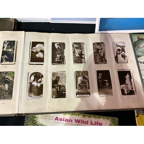 112 - QUANTITY OF POSTCARD AND CIGARETTE CARD ALBUMS, LOOSE POSTCARDS, AIRCRAFT PICTURES AND THE STORY OF ... 