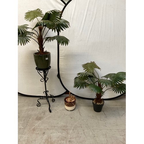 133 - 2 YUKKA PLANTS AND PLANT STAND