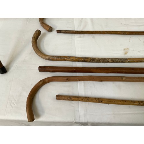 135 - QTY OF WALKING STICKS AND SHOOTING STICK ETC