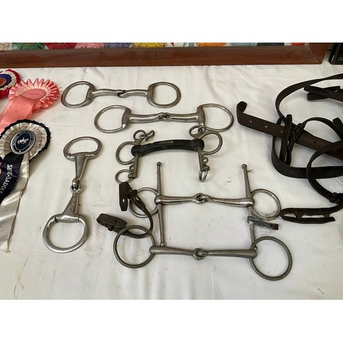 39 - A BOX OF HORSE HARNESS BITS AND ROSETTES AND FRAMED PICTURES OF ROSETTES