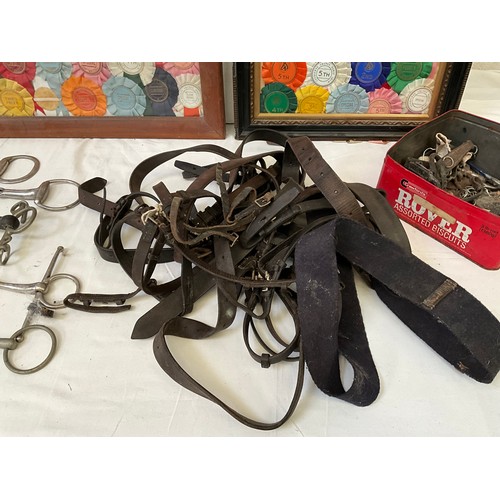 39 - A BOX OF HORSE HARNESS BITS AND ROSETTES AND FRAMED PICTURES OF ROSETTES