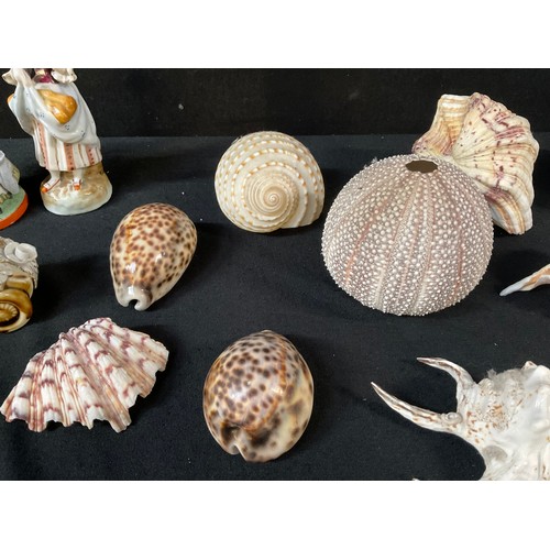 107 - A BOX OF SEA SHELLS ORNAMENTS ETC