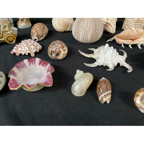 107 - A BOX OF SEA SHELLS ORNAMENTS ETC