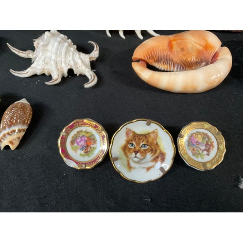 107 - A BOX OF SEA SHELLS ORNAMENTS ETC