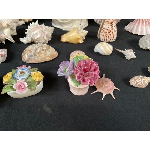 107 - A BOX OF SEA SHELLS ORNAMENTS ETC