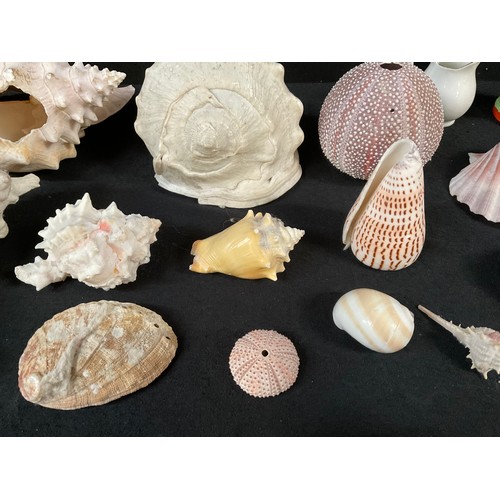 107 - A BOX OF SEA SHELLS ORNAMENTS ETC