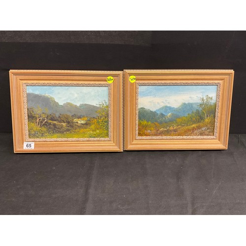 Lot 65        