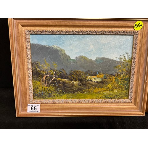 65 - 2 MODERN FRAMED OILS ON BOARD 12 X 16