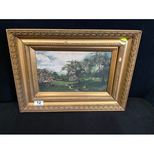 Lot 12        