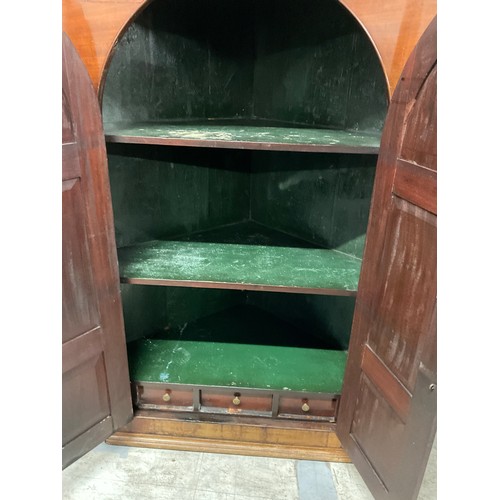 300 - GEORGIAN MAHOGANY DOMED PANELLED DOOR CORNER CUPBOARD WITH FITTED SPICE DRAWERS AND SHELVES TO INTER... 