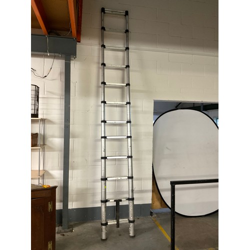 170 - TELESCOPIC EXTENDING LADDER 12 rung sold as seen as buttons sticking