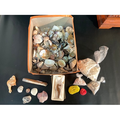 10 - COLLETION OF VINTAGE SHELLS AND CORAL