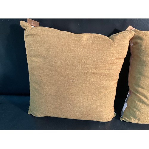 24 - 3 LARGE NEW SCATTER CUSHIONS