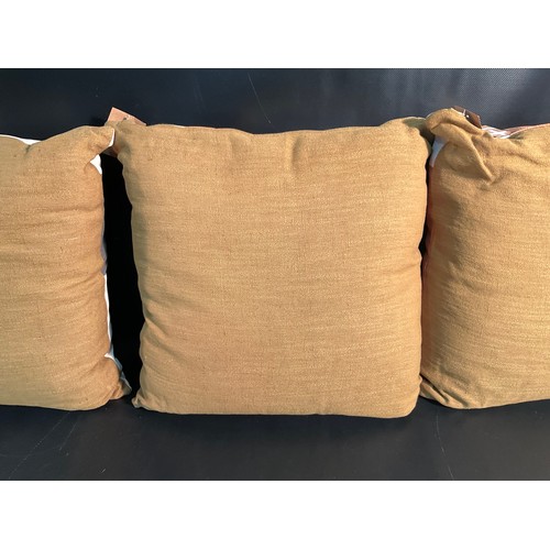 24 - 3 LARGE NEW SCATTER CUSHIONS