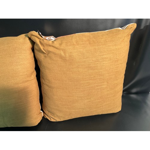 24 - 3 LARGE NEW SCATTER CUSHIONS